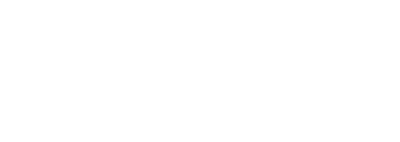 Finalit Steinpflege GmbH